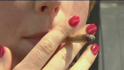 Propuesta oficial consideraría a la marihuana menos peligrosa