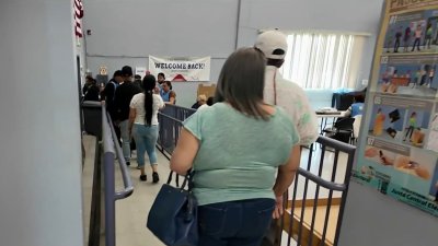 Diáspora dominicana acude masivamente a votar y reacciona a los resultados