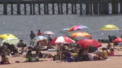 Multas de más de $100 por infringir reglas en playas de NYC