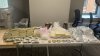 Incautan más de 25 libras de fentanilo y cocaína y $100,000 en efectivo en apartamento del Bronx