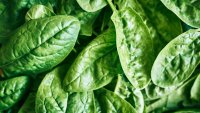 Spinach products from NY-based Solata Foods recalled due to listeria concerns