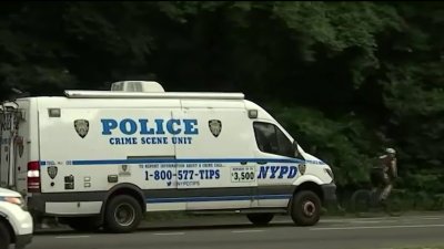 Persona bajo custodia en caso de ataque sexual en Central Park