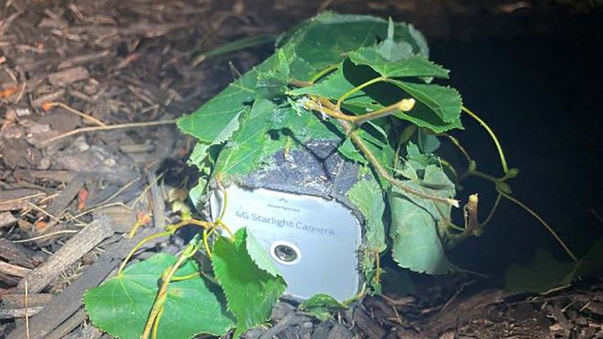 Braintree police say this camera was found near a home that was targeted by thieves tied to an international crime ring.