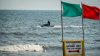 Autoridades ofrecen consejos para reducir el riesgo de picaduras de tiburones en playas este verano