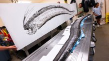 Gyotaku artist Dwight Hwang makes a print of the oarfish for archiving.