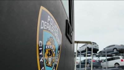 NYC anuncia operativo contra vehículos con placas fantasma