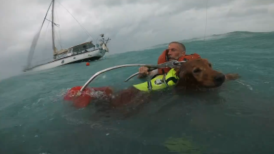 Dramático video: rescatan a hombre y su perro en medio del mar durante el huracán Helene