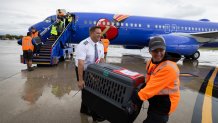 En respuesta a los huracanes Helene y Milton, Southwest Airlines® se asoció con Greater Good Charities y Lucky Dog Animal Rescue para realizar un transporte aéreo de emergencia de unas 150 mascotas de refugios afectadas por las tormentas. Este transporte aéreo de emergencia de Myrtle Beach a Milwaukee permitió a los abarrotados refugios atender a más mascotas desplazadas y heridas por estas catástrofes. // Crédito de la foto: Stephen M. Keller