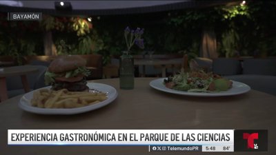 ¡Es fascinante! Restaurante temático de El Yunque en Bayamón