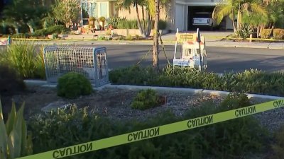 De terror: cientos de abejas atacan a residentes de California