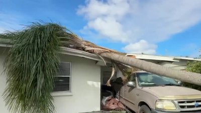 El área triestatal unida por ayudar residentes de Florida