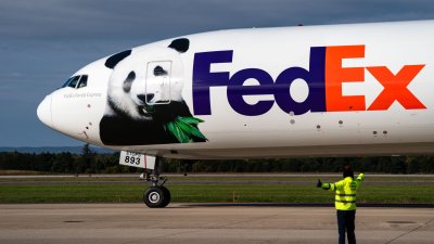 Dos osos panda regresan de China al Zoológico Nacional en DC