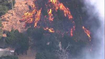 Residente narra momentos de temor durante incendio Keller en Oakland