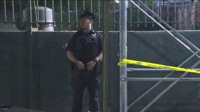 Adolescente de 15 años resulta herida de bala en El Bronx