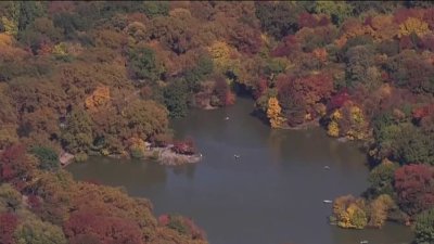 Follaje de otoño alcanza su esplendor en Central Park