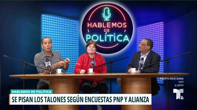 Hablemos de política: resultados de encuestas sobre candidatos a la gobernación