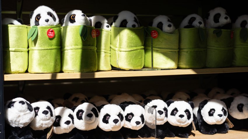 Souvenirs themed with giant pandas are seen at Smithsonian’s National Zoo in Washington, D.C., the United States, on May 29, 2024. The National Zoo in Washington, D.C., announced Wednesday it will receive two giant panda cubs, one male and one female, from China by the end of the year. (Photo by Liu Jie/Xinhua via Getty Images)