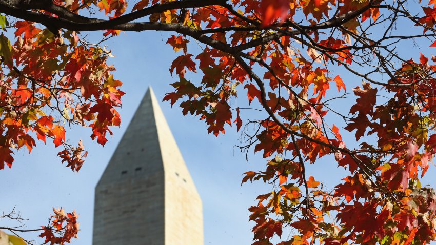 WASHINGTON, DC – OCTOBER 20:  The Washington Monument can be seen through colorful fall leaves October 20, 2013 in Washington, DC. The fall foliage in the Washington area is almost at full peak with unseasonably mild temperatures.  (Photo by Mark Wilson/Getty Images)