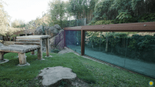 A view of the outdoor area of the National Zoo's panda enclosure.