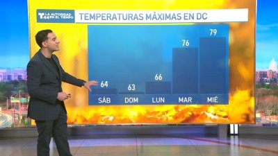 Primer fin de semana de noviembre con fresco de otoño en el DMV