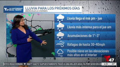 El pronóstico del tiempo para el 19 de noviembre de 2024