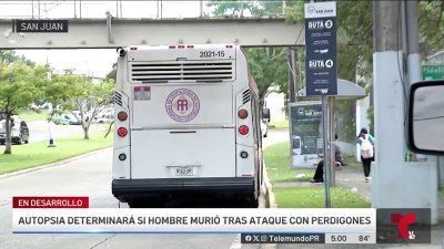 Al azar: disparan contra varias personas con rifle de perdigones