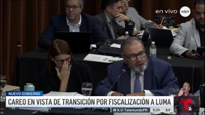 Intensos careos durante la vistas de transición