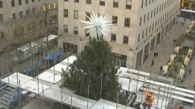 ¡Ya falta poco! Retiran andamio del árbol navideño en la plaza Rockefeller