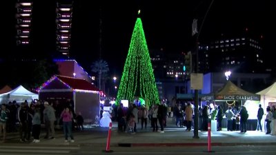 Encienden icónico arbolito navideño en San José