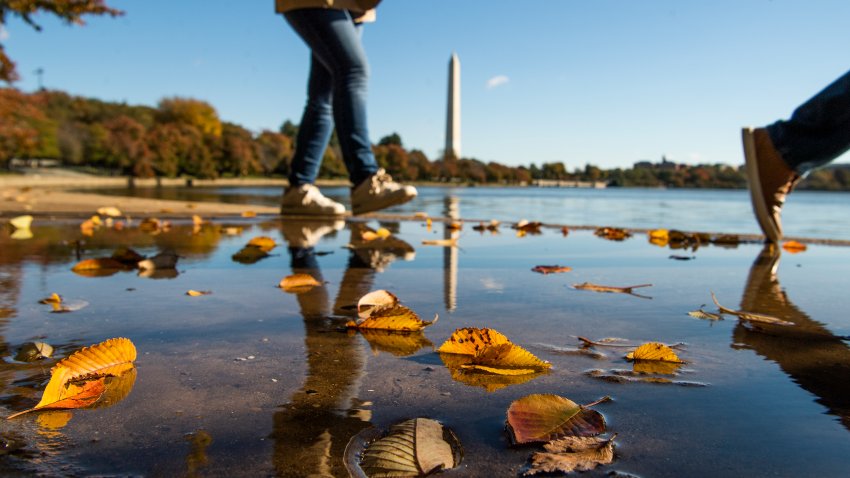 UNITED STATES – NOVEMBER 01: A puddle formed by heavy rain and flooding on Friday is seen at the Tidal Basin on Monday, November 1, 2021. (Photo By Tom Williams/CQ-Roll Call, Inc via Getty Images)