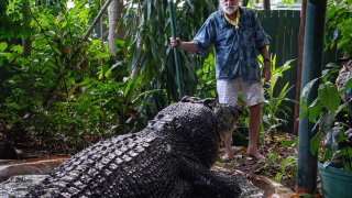 El cocodrilo más grande del mundo fallece en un centro de animales en Australia