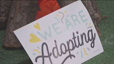 Cerca de 800 niños esperan ser adoptados en Virginia