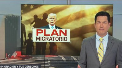 ¿Es viable y legal una deportación masiva?