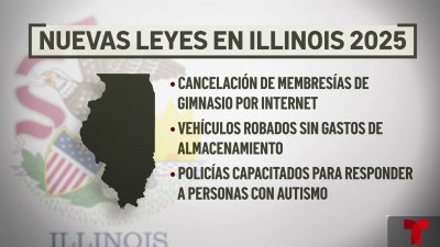 Nuevas leyes en Illinois para 2025