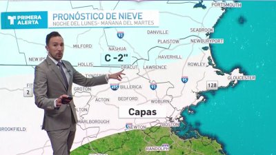 Copos de nieve en algunas zonas