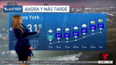 El tiempo en NY para el 24 de diciembre con Tairy Ynoa