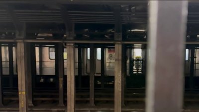 Hombre herido tras ser empujado frente a tren en marcha en Manhattan