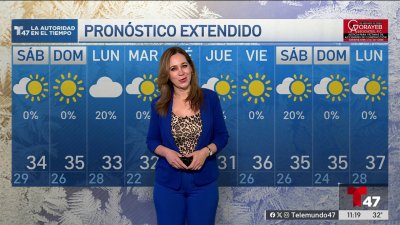 Pronóstico del tiempo para el 3 de enero en NYC