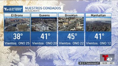 El pronóstico del tiempo para el 28 de enero de 2025