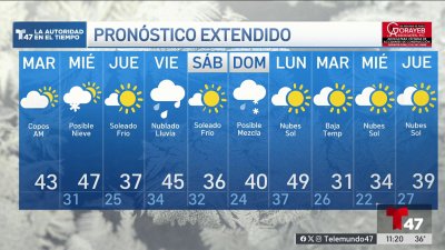 Pronóstico del tiempo para el 28 de enero