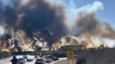 Accidente causó incendios forestales en Long Island