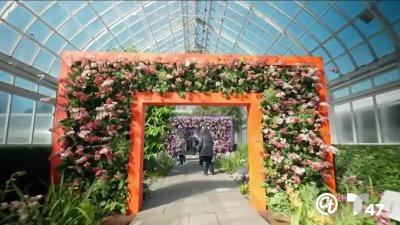 Exhibición de Orquídeas en el Jardín Botánico de NY