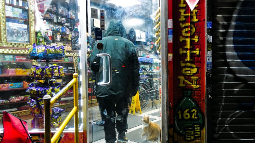 A cat stands at the entrance of a “bodega” in the Washington Heights area of the Manhattan borough of New York City on February 23, 2025. In the New Yorkers’ vocabulary, a “bodega” means a small grocery store so that in some areas of New York City like here in the northern part of Manhattan, each block has his bodega open until late at night. (Photo by CHARLY TRIBALLEAU / AFP) (Photo by CHARLY TRIBALLEAU/AFP via Getty Images)