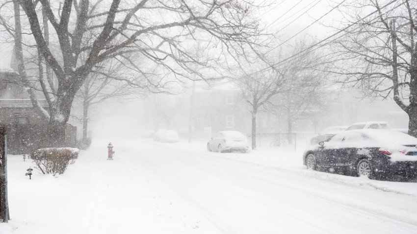 Nieve
