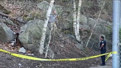 Identifican segundo cuerpo encontrado en un bosque en Salem