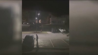 Vandalismo y robo en casi 50 vehículos en Laurel
