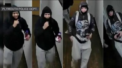 Buscan a sospechosos de robar pelotas de béisbol autografiadas por los Red Sox