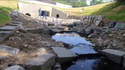 Nuevo proyecto en Montgomery busca mejorar la calidad del agua en Long Branch
