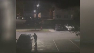 Detienen a adolescente por vandalismo y robo en Laurel