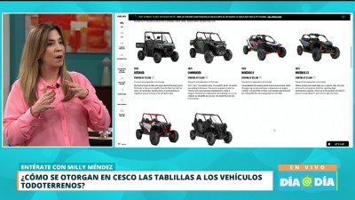 Alegan que algunos dueños de Can-Am tienen licencia para motoras
